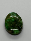 Sonoran Gold Turquoise