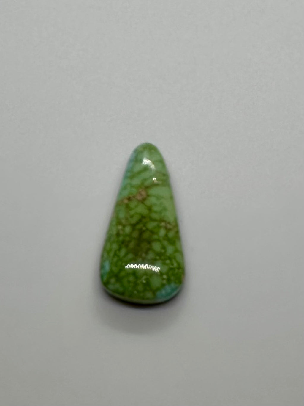 Sonoran Gold Turquoise