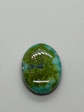 Sonoran Gold Turquoise