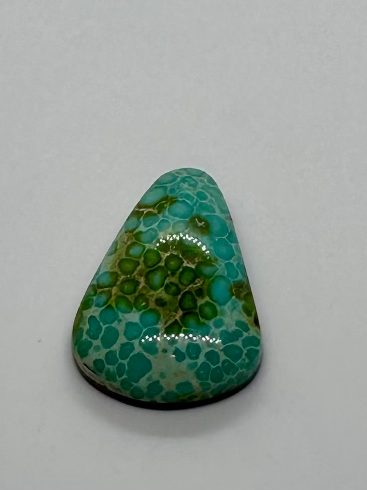 Sonoran Gold Turquoise