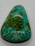 Sonoran Gold Turquoise