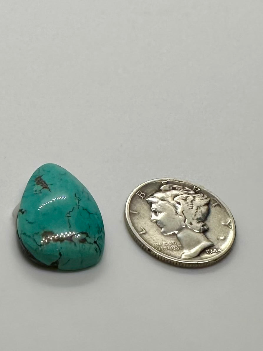 Nevada Turquoise