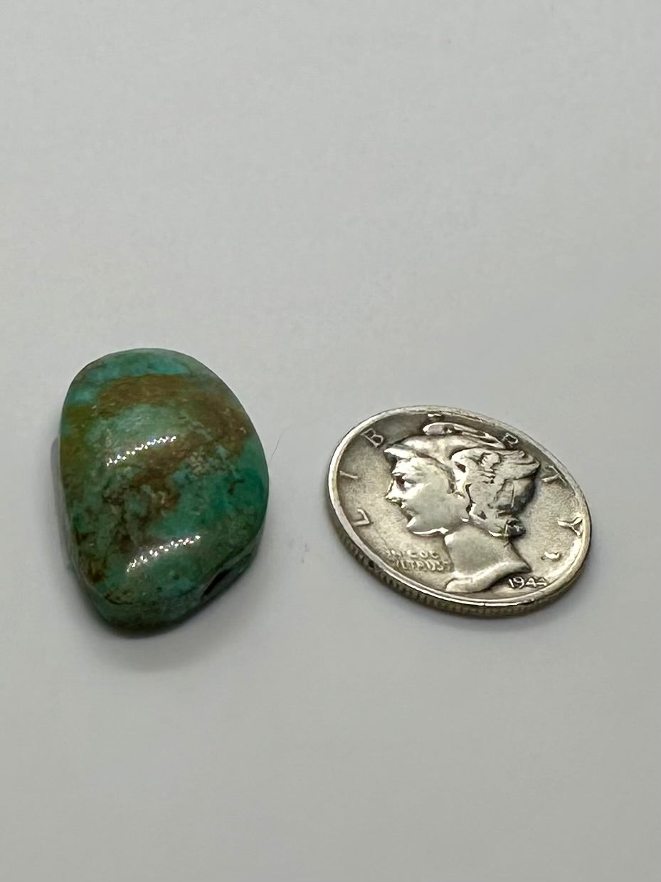 Nevada Turquoise