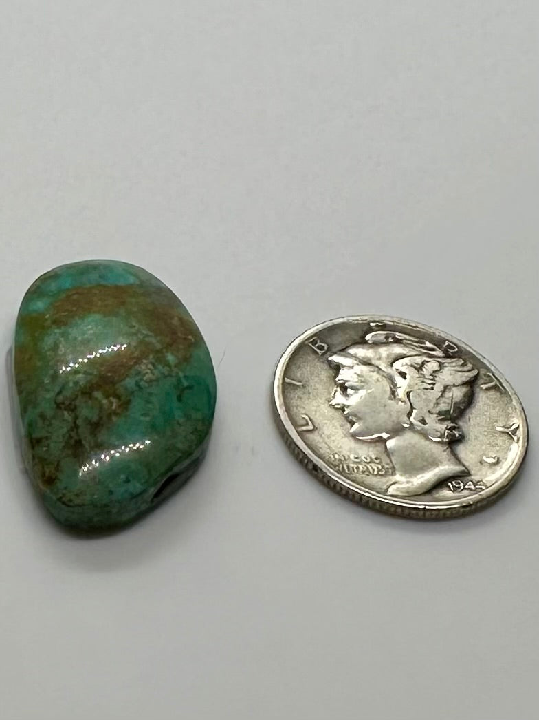 Nevada Turquoise