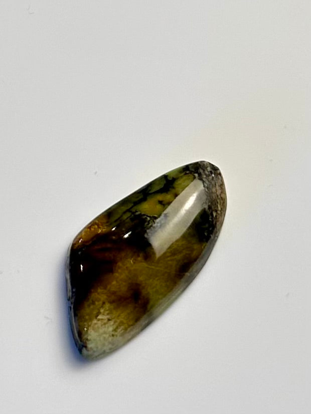 Carmel Mountain Veriscite