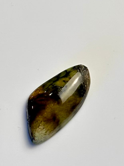 Carmel Mountain Veriscite