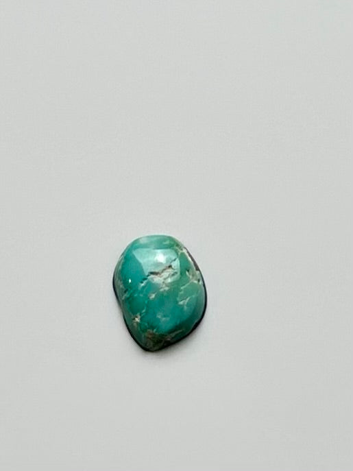 Fox Turquoise