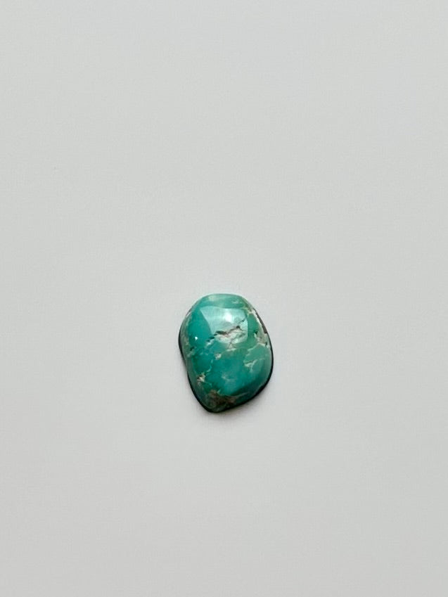 Fox Turquoise