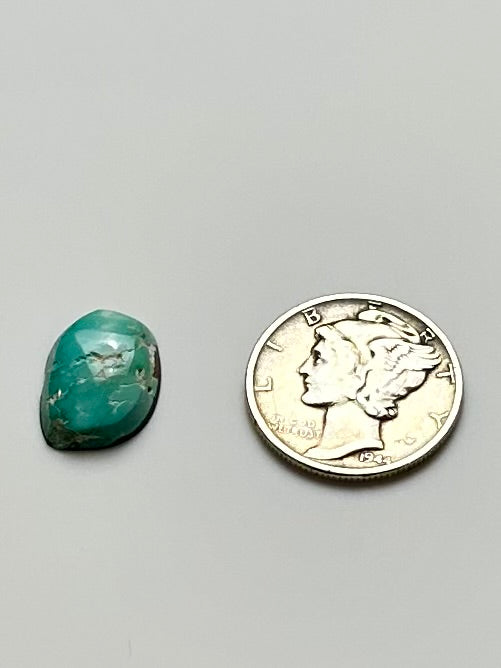 Fox Turquoise