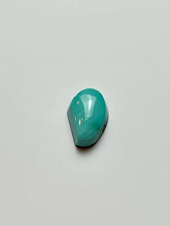 Fox Turquoise