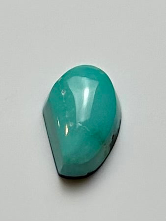 Fox Turquoise