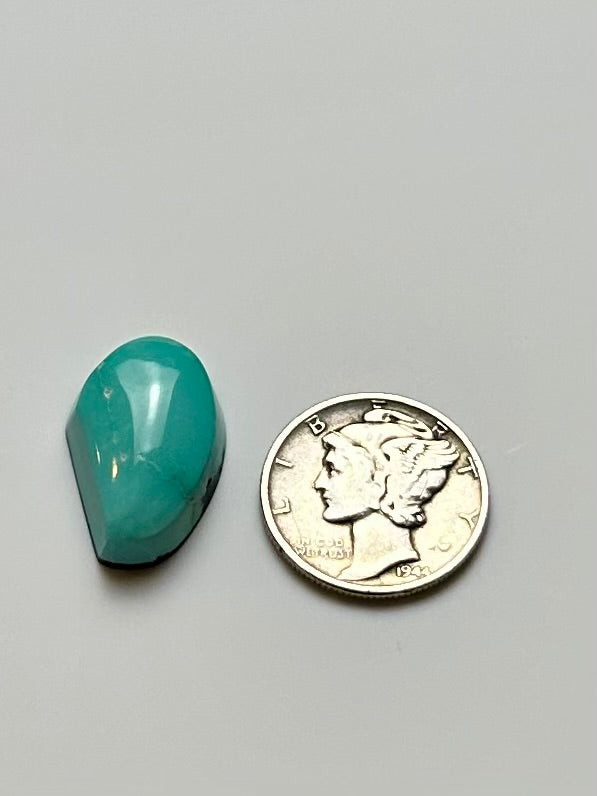 Fox Turquoise