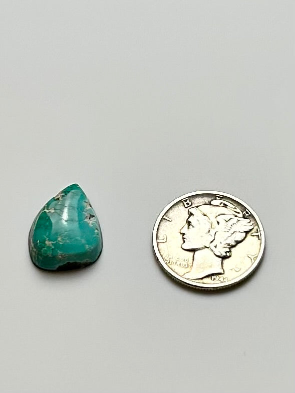 Fox Turquoise