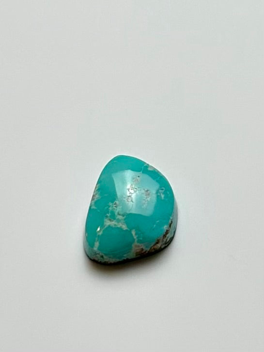 Fox Turquoise