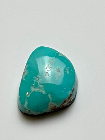 Fox Turquoise