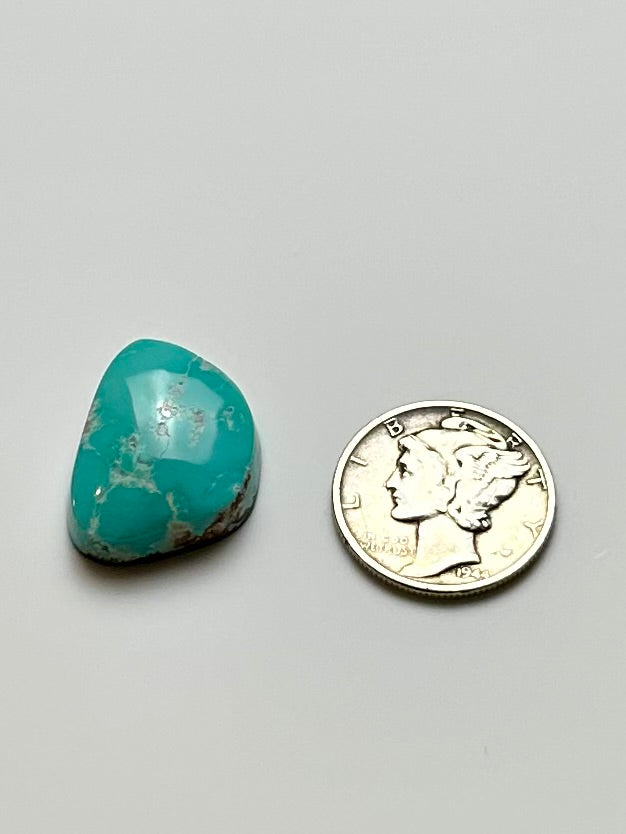Fox Turquoise