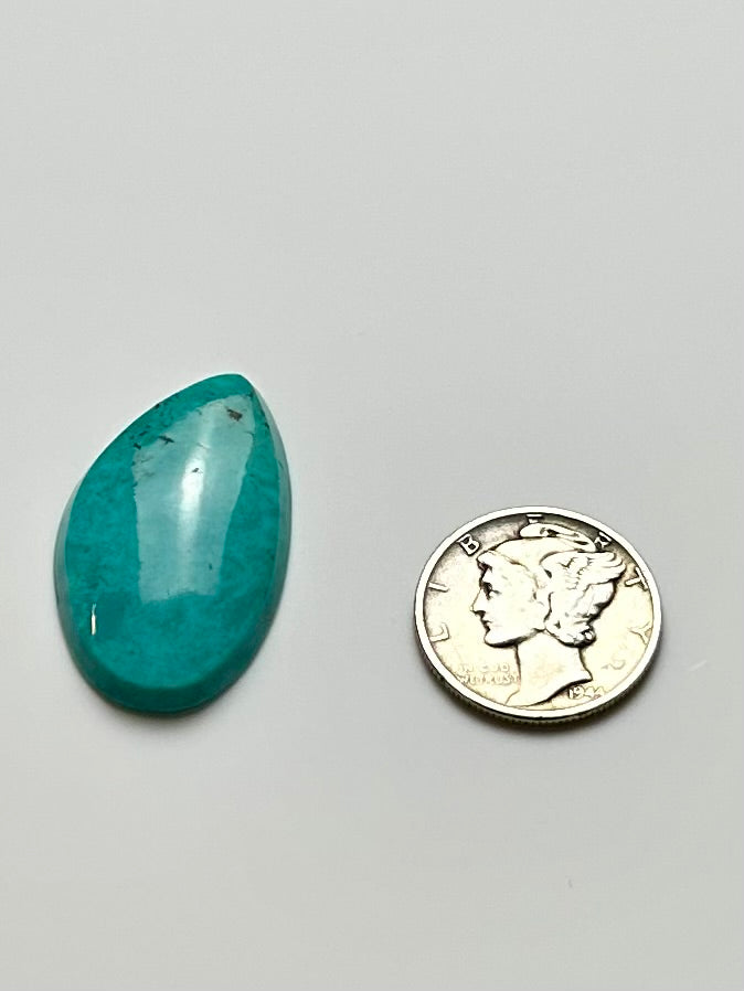 Fox Turquoise
