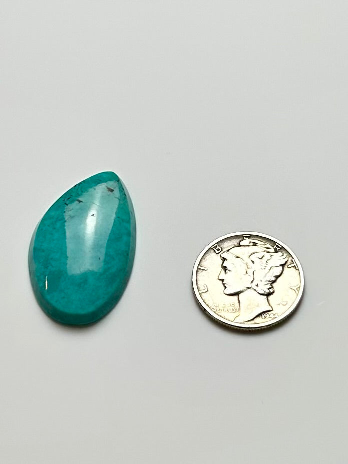 Fox Turquoise