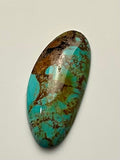 Sonoran Gold Turquoise