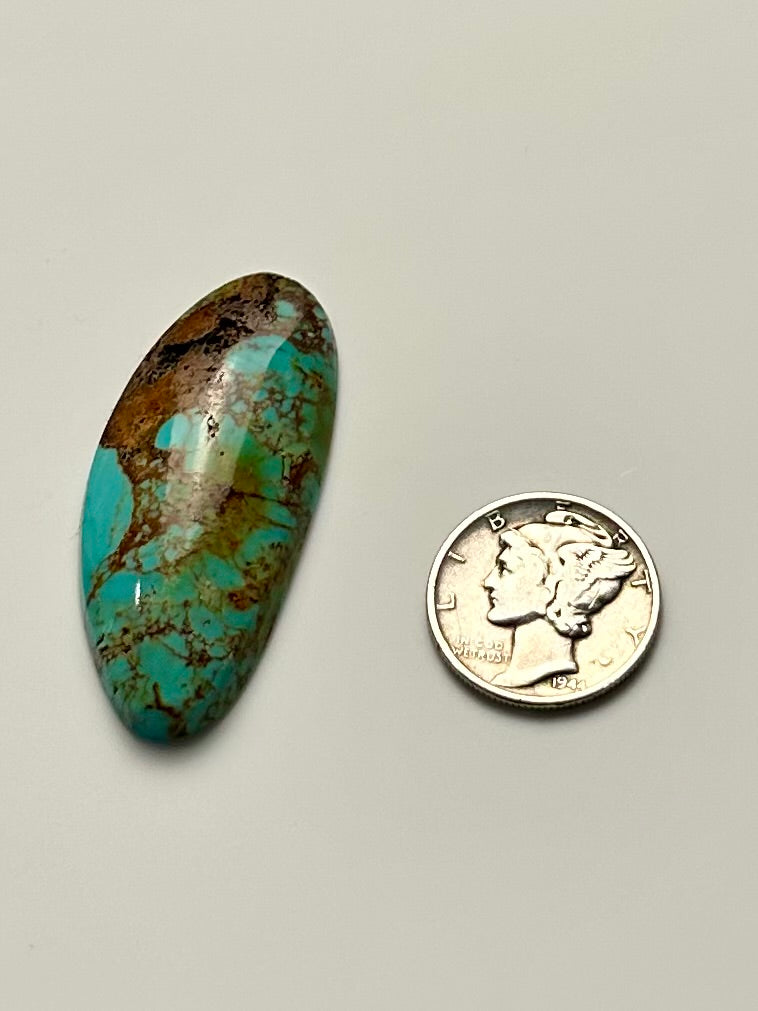 Sonoran Gold Turquoise