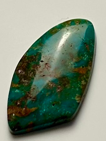 Sonoran Gold Turquoise